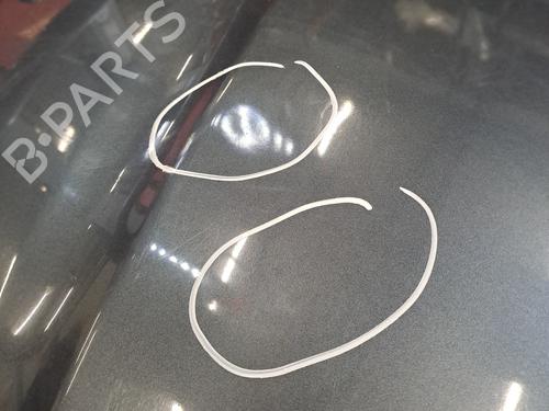 Hood HONDA ACCORD VII (CL, CN) 2.2 i-CTDi (CN1) | BP31992654C1 