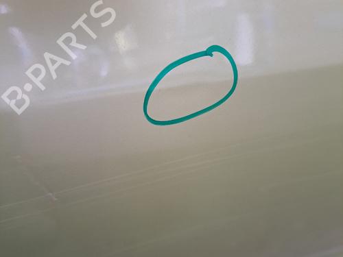 right-rear-door-citroen-c3-ii-sc_-2009-35991270 main image