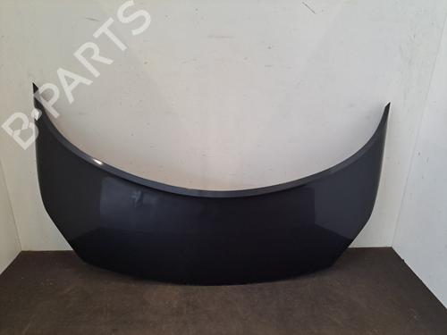 Used Hood RENAULT SCÉNIC II (JM0/1_) 1.5 dCi (JM1F) (86 hp) 28404022