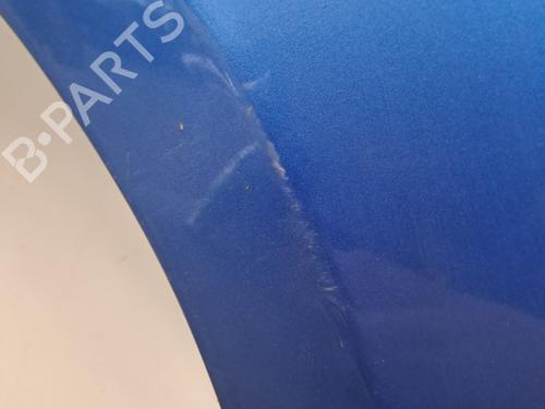 Left front fenders RENAULT CLIO III (BR0/1, CR0/1) 1.4 16V | BP29567253C41