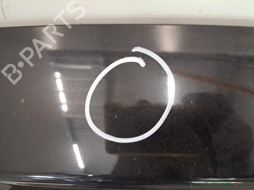 Tailgate DACIA SANDERO 1.5 dCi | BP31039636C6 