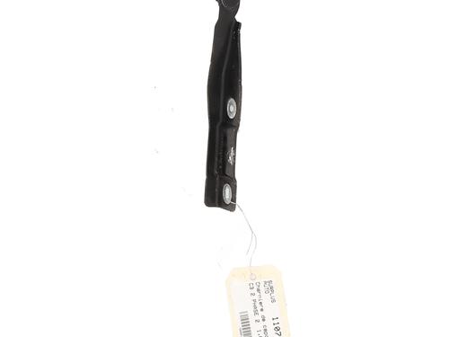 hingedoor-check-strap-citroen-c3-ii-sc_-2009-31281492 main image