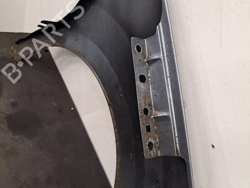 Left front fenders CITROËN C3 II (SC_) 1.4 HDi 70 (SC8HZC, SC8HR0, SC8HP4) | BP32323077C41