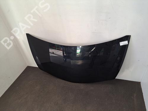 Hood RENAULT CLIO III (BR0/1, CR0/1) 1.2 16V Hi-Flex (BR1U, CR1U) | BP28396733C1 