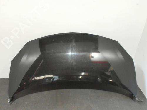 Capot Capot RENAULT TWINGO II (CN0_) 1.5 dCi (CN0E) (64 hp) 28405610 28405610