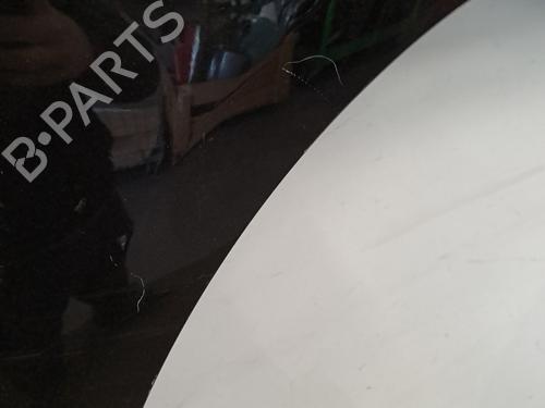 Right front fenders RENAULT SCÉNIC III (JZ0/1_) 1.5 dCi | BP29307419C42 
