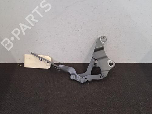 Hinge/Door check strap BMW 3 (E90) 316 d | BP28392177C146 
