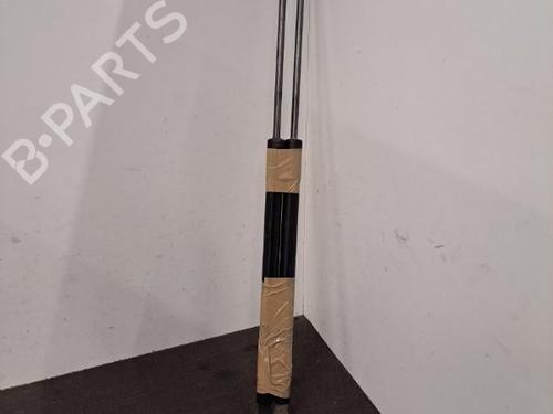 Tailgate lift support FORD FOCUS III 1.0 EcoBoost | BP28401873C138