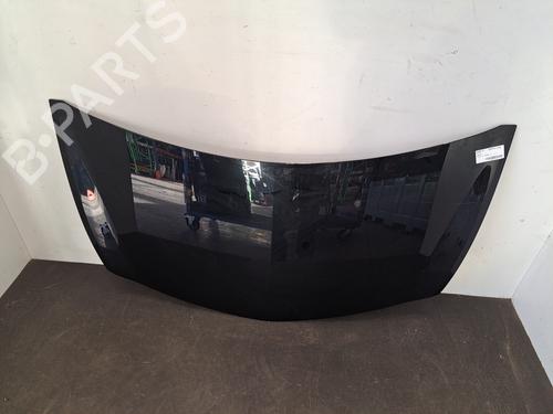 Hood RENAULT CLIO III (BR0/1, CR0/1) 1.2 16V Hi-Flex (BR1U, CR1U) | BP28396733C1 
