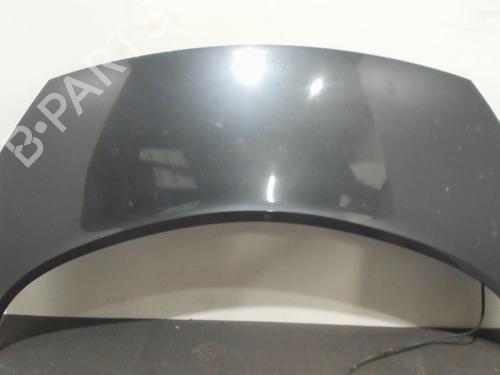 Used Hood RENAULT GRAND SCÉNIC II (JM0/1_) 2.0 dCi (JM1K) (150 hp) 28393869