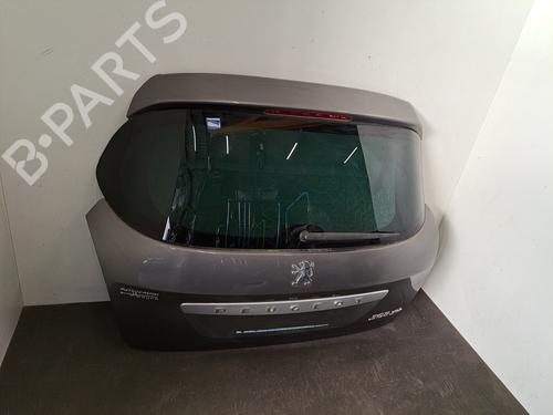 Tailgate PEUGEOT 308 SW I (4E_, 4H_) 1.6 HDi | BP28391129C6 