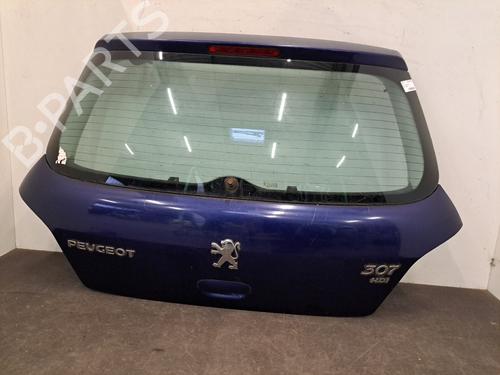 Tailgate PEUGEOT 307 (3A/C) 2.0 HDi 110 | BP31159237C6