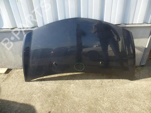 Used Hood RENAULT CLIO III (BR0/1, CR0/1) 1.5 dCi (BR17, CR17) (86 hp) 28405848
