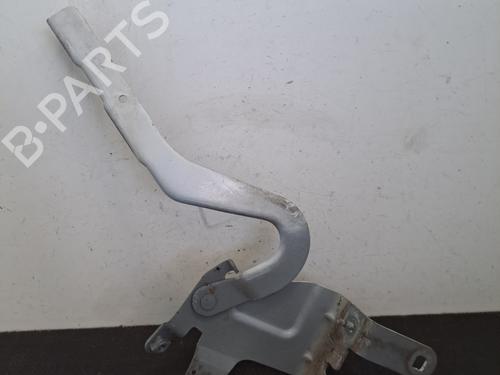 Hinge/Door check strap RENAULT CLIO IV (BH_) 1.5 dCi 75 | BP28395726C146