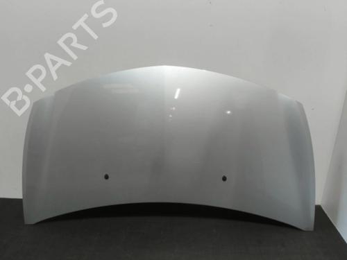 Used Hood RENAULT CLIO III (BR0/1, CR0/1) 1.4 16V (98 hp) 28394182