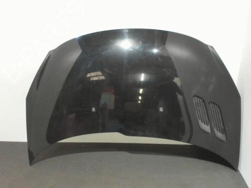 Used Hood PEUGEOT 206+ (2L_, 2M_) 1.4 i (73 hp) 28405384