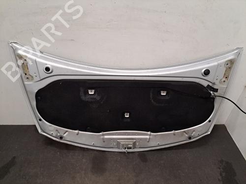 Hood RENAULT CLIO III (BR0/1, CR0/1) 1.5 dCi (BR17, CR17) | BP28395895C1 