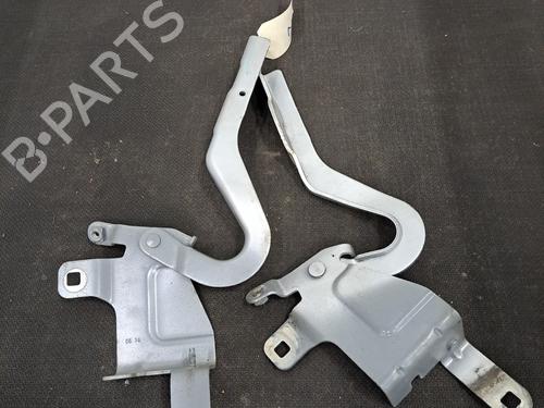 Hinge/Door check strap RENAULT CLIO IV (BH_) 1.5 dCi 75 | BP29759680C146