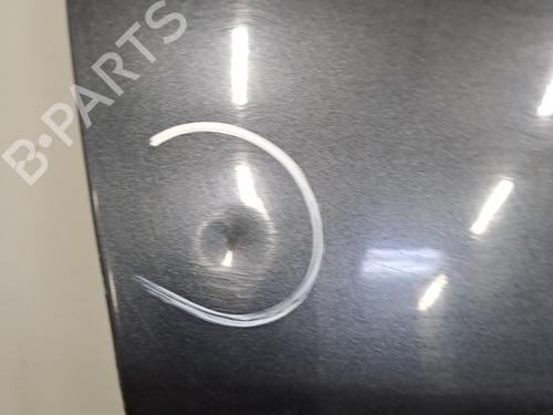 Right front door RENAULT MEGANE III Hatchback (BZ0/1_, B3_) 1.5 dCi (BZ09, BZ0D, BZ1W, BZ29, BZ14) | BP28395188C3