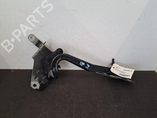 Used Hinge/Door check strap RENAULT SCÉNIC III (JZ0/1_) 1.5 dCi (110 hp) 28392140