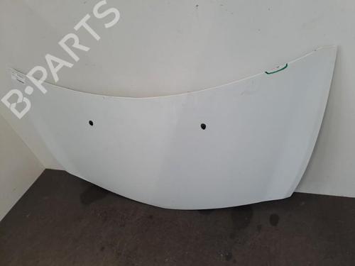 Hood RENAULT CLIO III (BR0/1, CR0/1) 1.2 16V Hi-Flex (BR1U, CR1U) | BP28393234C1 
