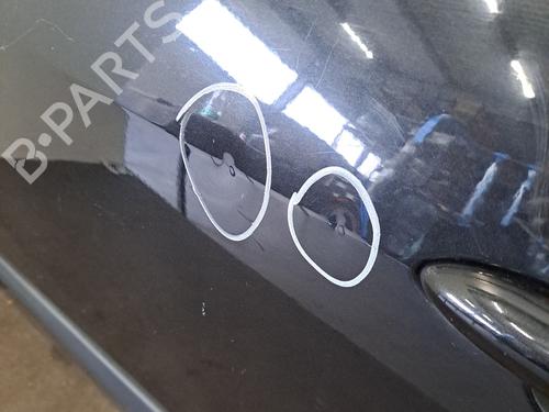 left-front-door-renault-modus-grand-modus-fjp0_-2004-30551393 main image