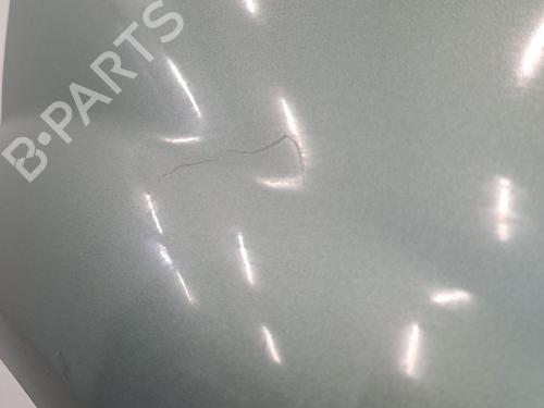 Forskærm venstre RENAULT MEGANE II (BM0/1_, CM0/1_) 1.4 16V (BM0B, CM0B) | BP29707917C41 