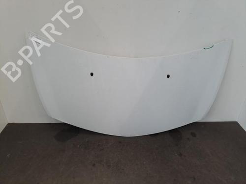 Used Hood RENAULT CLIO III (BR0/1, CR0/1) 1.2 16V Hi-Flex (BR1U, CR1U) (75 hp) 28393234
