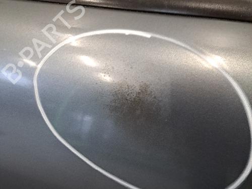 Left front door PEUGEOT 207 CC (WD_) 1.6 HDi | BP29962010C2