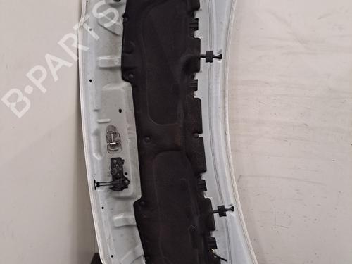 Used Hood Hood NISSAN NV400 Van (X62, X62B) dCi 135 (136 hp) 33238240 33238240