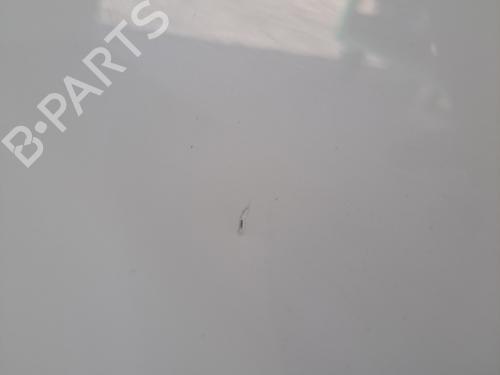 Left front door DACIA SANDERO 1.2 16V | BP29604920C2 
