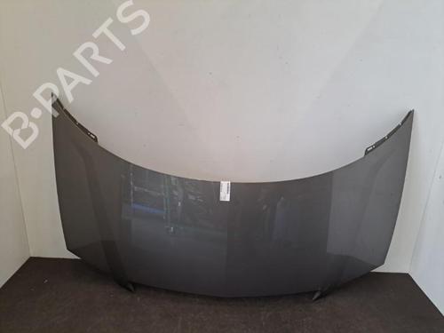 Hood LANCIA PHEDRA (179_) 2.0 JTD (179.AXE1A) | BP28404731C1 