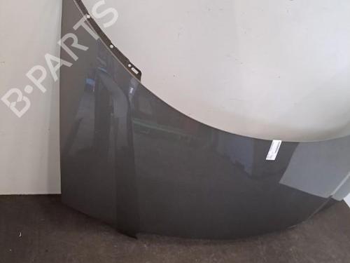 Hood LANCIA PHEDRA (179_) 2.0 JTD (179.AXE1A) | BP28404731C1 