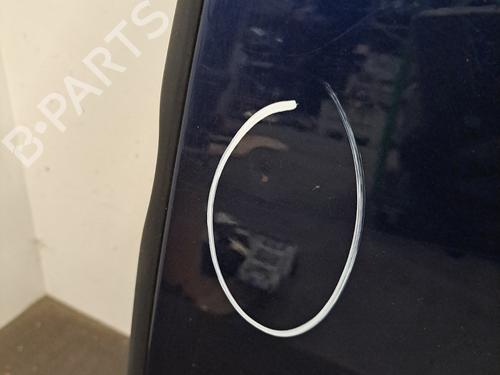 Left rear door DACIA LODGY (JS_) 1.2 TCe (JSAY, JSM0) | BP30777826C4