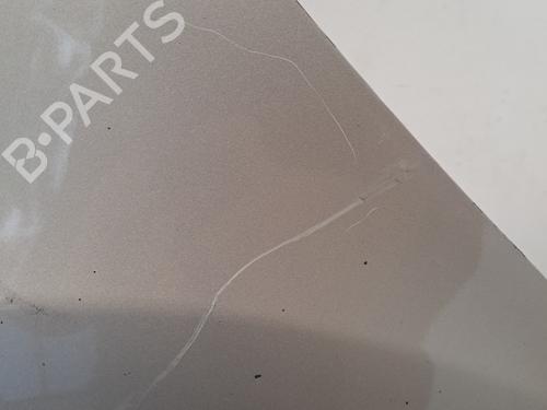 Left front fenders RENAULT CLIO III (BR0/1, CR0/1) 1.2 16V (BR02, BR0J, BR11, CR02, CR0J, CR11) | BP28406090C41