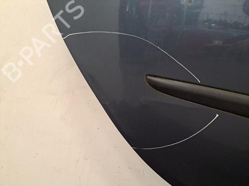 Right rear door RENAULT CLIO III (BR0/1, CR0/1) 1.2 16V (BR02, BR0J, BR11, CR02, CR0J, CR11) | BP28397833C5 