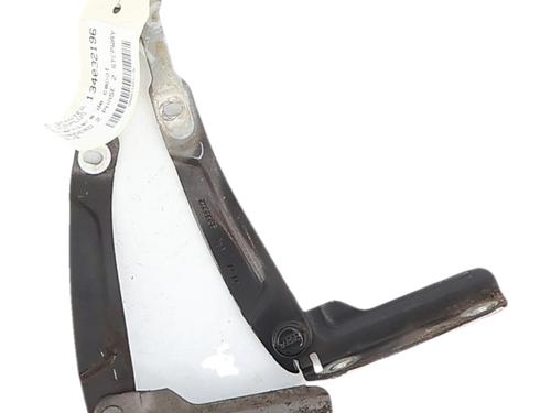 hingedoor-check-strap-dacia-sandero-ii-2012-39981952 main image