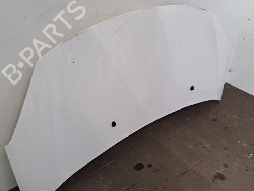 Hood CITROËN C3 II (SC_) 1.6 BlueHDi 100 | BP29749247C1 