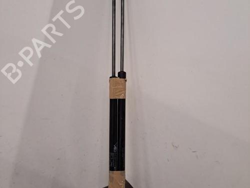 Tailgate lift support CITROËN C4 Picasso II 1.6 HDi / BlueHDi 115 | BP28390813C138 