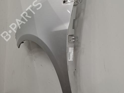 Left front fenders RENAULT CLIO III (BR0/1, CR0/1) 1.2 16V (BR02, BR0J, BR11, CR02, CR0J, CR11) | BP29880351C41