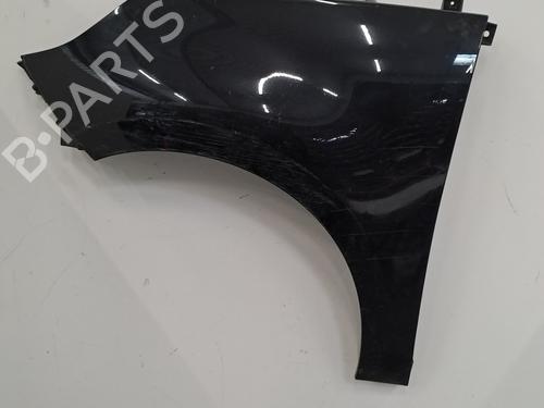 Used Left front fenders RENAULT SCÉNIC III (JZ0/1_) 1.9 dCi (JZ0J, JZ1J, JZ1K, JZ1S) (131 hp) 28406941