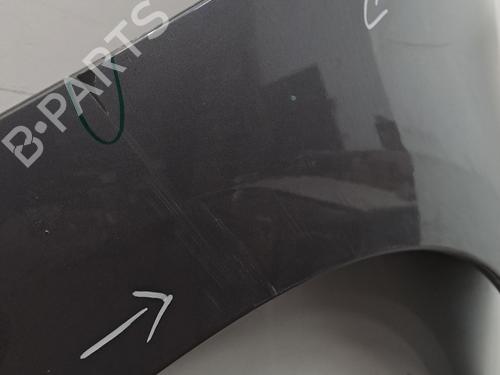 Right front fenders RENAULT SCÉNIC III (JZ0/1_) 1.5 dCi | BP29425759C42 