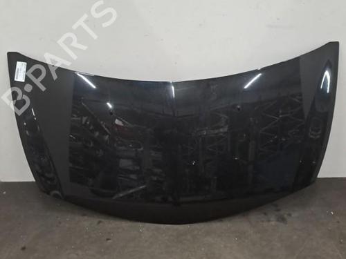 Hood RENAULT CLIO III (BR0/1, CR0/1) 1.2 16V (BR0P, CR0P) | BP28401930C1 