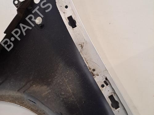 Left front fenders RENAULT CLIO III (BR0/1, CR0/1) 1.5 dCi (BR17, CR17) | BP30391804C41