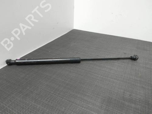 Used Hood lift support RENAULT MEGANE IV Hatchback (B9A/M/N_) 1.5 dCi 110 (B9A3) (110 hp) 28410915