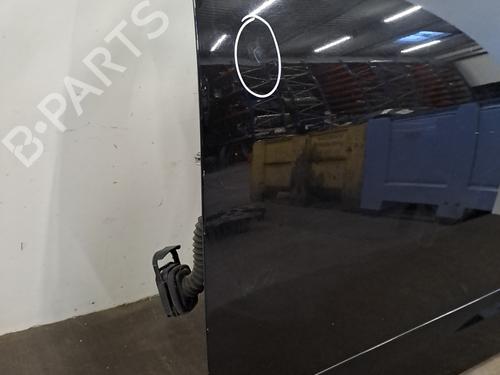 Left front door RENAULT SCÉNIC III (JZ0/1_) 1.5 dCi | BP29025372C2 