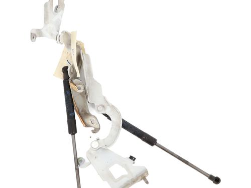 Hinge/Door check strap RENAULT TRAFIC III Van (FG_) 1.6 dCi 115 (FGMD) | BP31074292C146