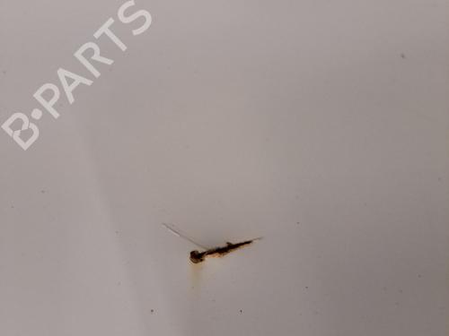 Left rear door SKODA CITIGO (NF1) 1.0 | BP29843330C4 