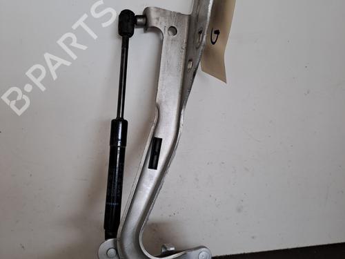 Dørhengsel/Dørstopper RENAULT GRAND SCÉNIC III (JZ0/1_) 1.5 dCi (JZ09, JZ0D, JZ10, JZ14, JZ1G, JZ29, JZ2C) (110 hp) 28395646