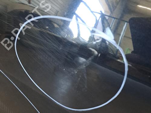 Left rear door RENAULT SCÉNIC III (JZ0/1_) 1.6 dCi (JZ00, JZ12) | BP28400784C4 